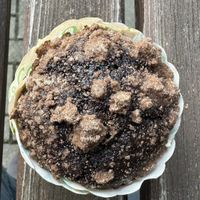   at Galerie in Dortmund