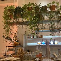 Plants  at HUMM Restaurant in Antwerpen