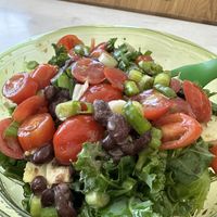   at SEA - Evergreens in Seattle