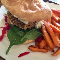 Vegan mushroom burger at Peregian Beach Hotel in Peregian Beach