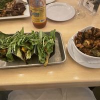   at Babalu in Memphis