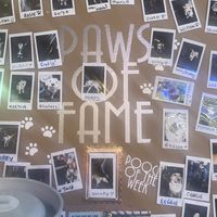   at The Adelphi in Preston