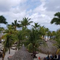View at The Green House in Willemstad