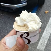 Coppetta 2 gusti at Gelateria Del Biondo in Brescia