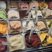 All vegan flavors at Gelateria Del Biondo in Brescia