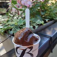 Yummy chocolate and coconut at Gelateria Del Biondo in Brescia