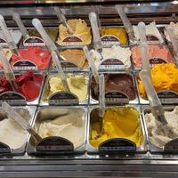 Selection of vegan ice creams at Gelateria Del Biondo in Brescia