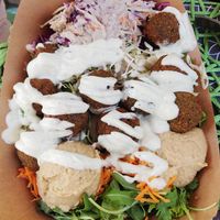 XXL Falafel bowl (8 falafels with coleslaw, salad, and hummus) at VEG in Split