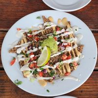 Live Nachos (RAW!) at Blossoming Lotus - Irvington in Portland