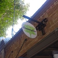  at Blossoming Lotus - Irvington in Portland