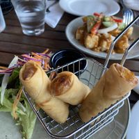 Vegan spring rolls  at Sukkho Thaii in Thirroul