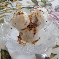 Coconut ice-cream at Shewe Vegan & Vegetarian Cafe in Chiang Mai