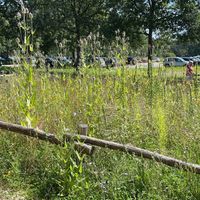 Insect sanctuary at Gasterij Groote Heide in Venlo