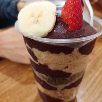 Oak at Oakberry in Lisbon