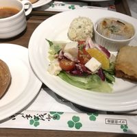 Set meal with soy lasagna, gratin, potato salad and quinoa salad with their vegan cheese (tastes so good)  at Upgrade Plant Based Kitchen in Osaka