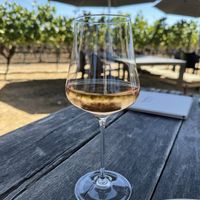 Rosé  at Poppies in Martinborough