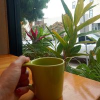  at Parakeet Cafe in San Diego