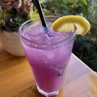   at Parakeet Cafe in San Diego