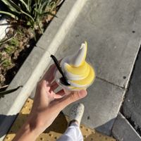 vanilla&dole swirl   at Nice Burger - Costa Mesa in Costa Mesa