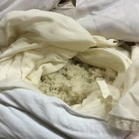 How to make sake at Nanbu Bijin in Ninohe