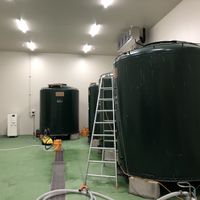 Sakagura  at Nanbu Bijin in Ninohe