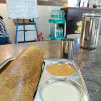 Palak Masala Dosa (95 INR)💗  at Dosa Palace in Mysore