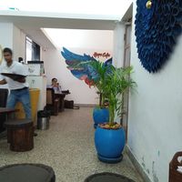 #Veganuary at Hope Cafe in Pondicherry