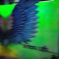  at Hope Cafe in Pondicherry