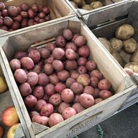 Schlagel Farm at Anne Arundel County Farmers Market in Annapolis