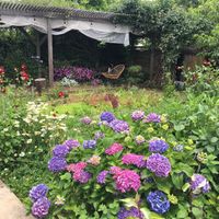 Beautiful garden all around the property  at Jag Eunbueok 작은부엌 in Jeju