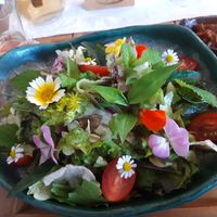 Bipimbap at Jag Eunbueok 작은부엌 in Jeju