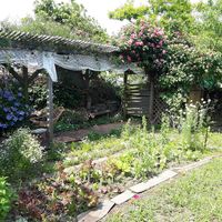Garden at Jag Eunbueok 작은부엌 in Jeju
