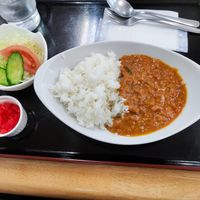 Vegan Curry at Lakeside Eatery 湖畔荘 in Hakone