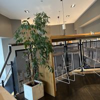   at The Bookshelf in Cork