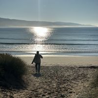   at Icaro in Apollo Bay