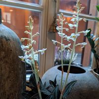 interior at SOMA Cafe in Vilnius