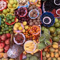   at Vegan Food Tours Oaxaca in Oaxaca