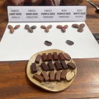   at Vegan Food Tours Oaxaca in Oaxaca