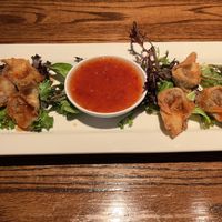 Crispy wontons appetizer- Impossible meat, sweet and tangy saucee  at Cafe Sunflower in Atlanta