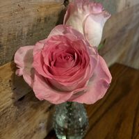   at Cafe Sunflower in Atlanta