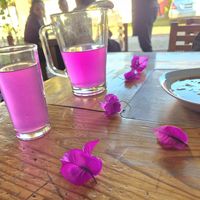 Bougainvillea lemonade. Refreshing,  beautiful and delicious! at Falafel Shalom in Tepoztlan