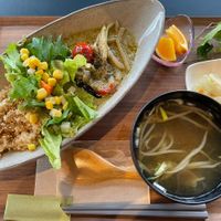 Vegan green curry (specially made for me)!!  at Shiba Mama No O Mise in Yamagata