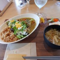 Veg curry and local wine at Shiba Mama No O Mise in Yamagata