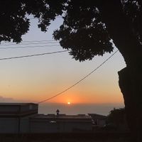 The view! 😍 at Wild Thyme Organics in Kealakekua