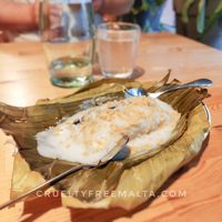 🌱  BÁNH CHUỐI NƯỚC DỪA
💭 I rarely find a vegan dessert at Asian restaurants. So as soon as I saw that they have a vegan option, I felt that I had to try it.
🌱 VEGA at Saigon in Bonn