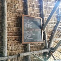  at Turtle Cove Lodge in Tofo