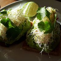 Avocat toast at Holiday Vegan Diner in Paris