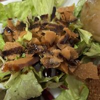   at Beirut Snack in Bologna