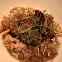 Mushrooms, mushrooms and more mushrooms.  😋  at Glas Restaurant in Dublin