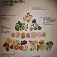 Posters inside at iVegan in Makati